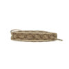 Gucci Monogram Mini Shoulder Bag in Beige / Cream / Gold - Image 5