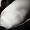 Fendi Rabbit Fur Shoulder Baguette Bag in Black - Image 8
